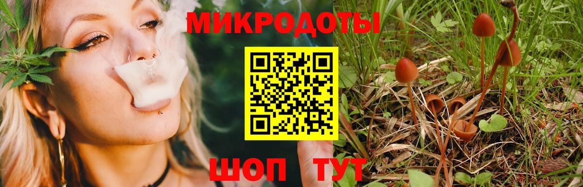 Галлюциногенные грибы Magic Shrooms Канаш